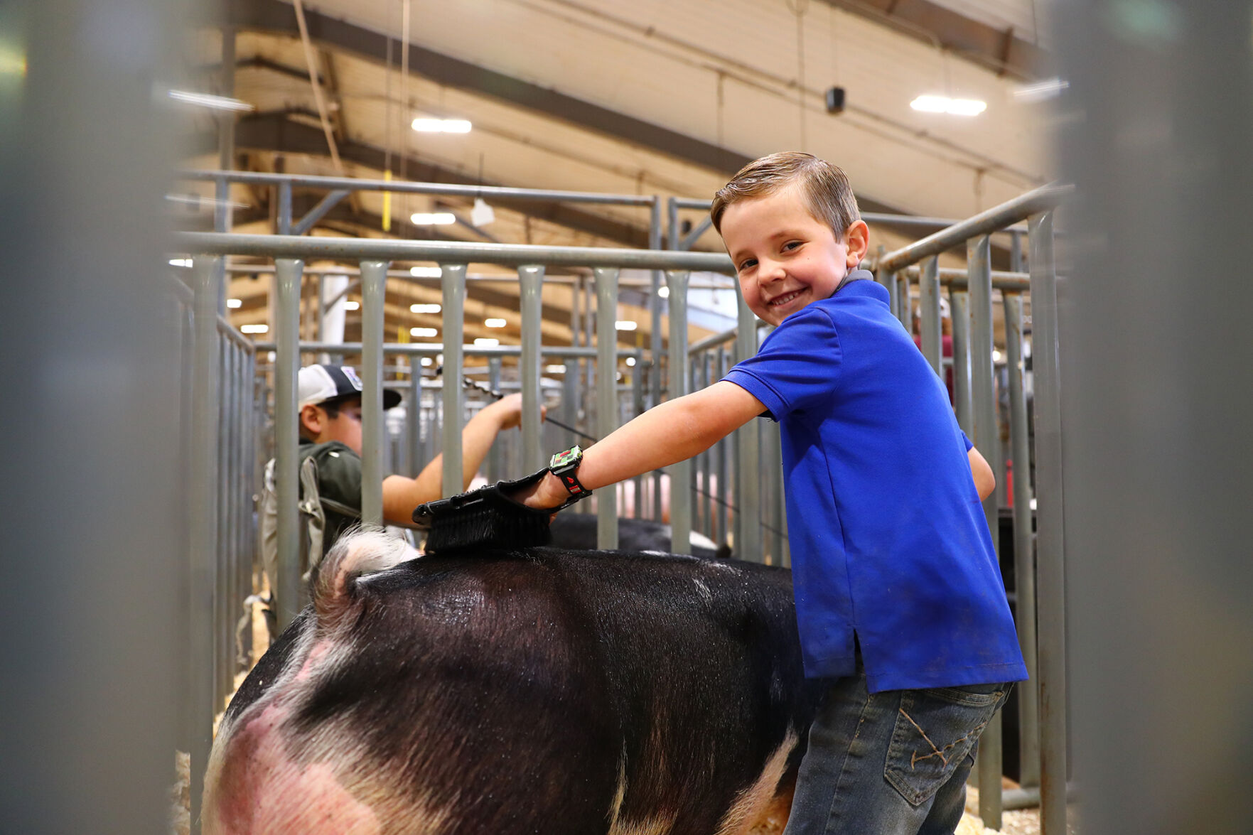 Brazos Valley Youth Livestock Show